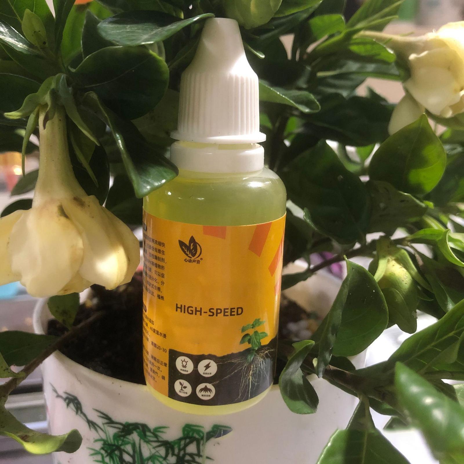 Root Stimulator Liquid - 1 Stück Pflanzen-Flüssigdünger für schnelles Wurzelwachstum,