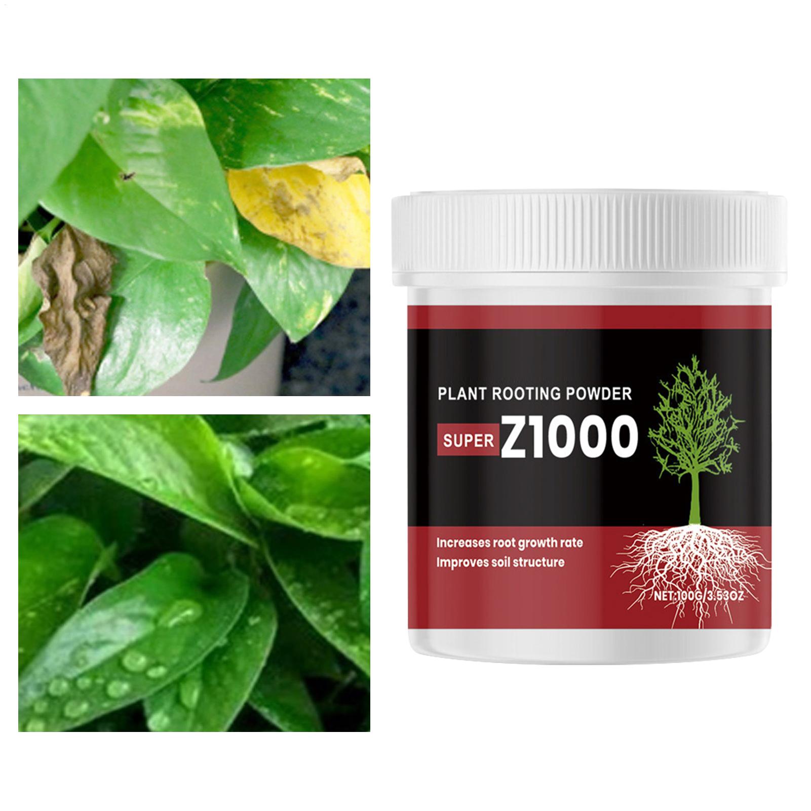 Wurzelungshormon-Pulver für Pf – Root Stimulator Liquid Bewertung und Preis
