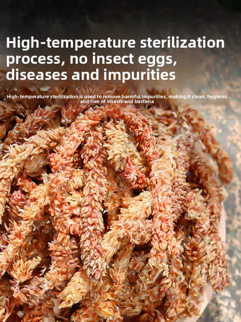 Chilenisches Sphagnum-Moos 100 – Sphagnum Moss Dry Bewertung und Preis