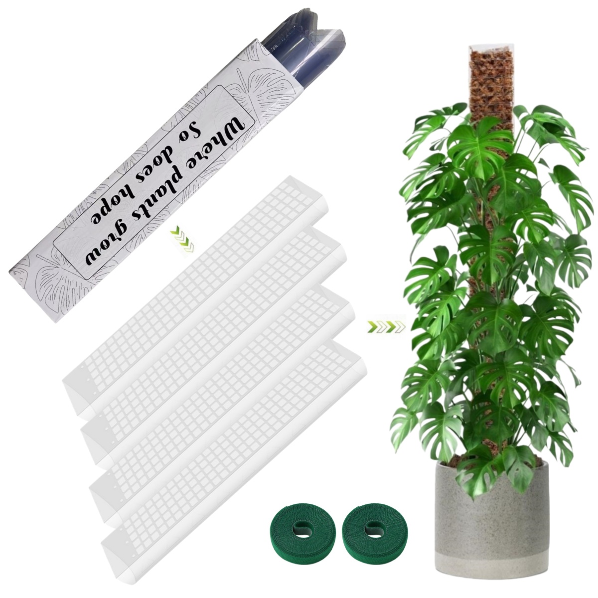 Moosstange aus Kunststoff für  – Sphagnum Moss Dry Bewertung und Preis