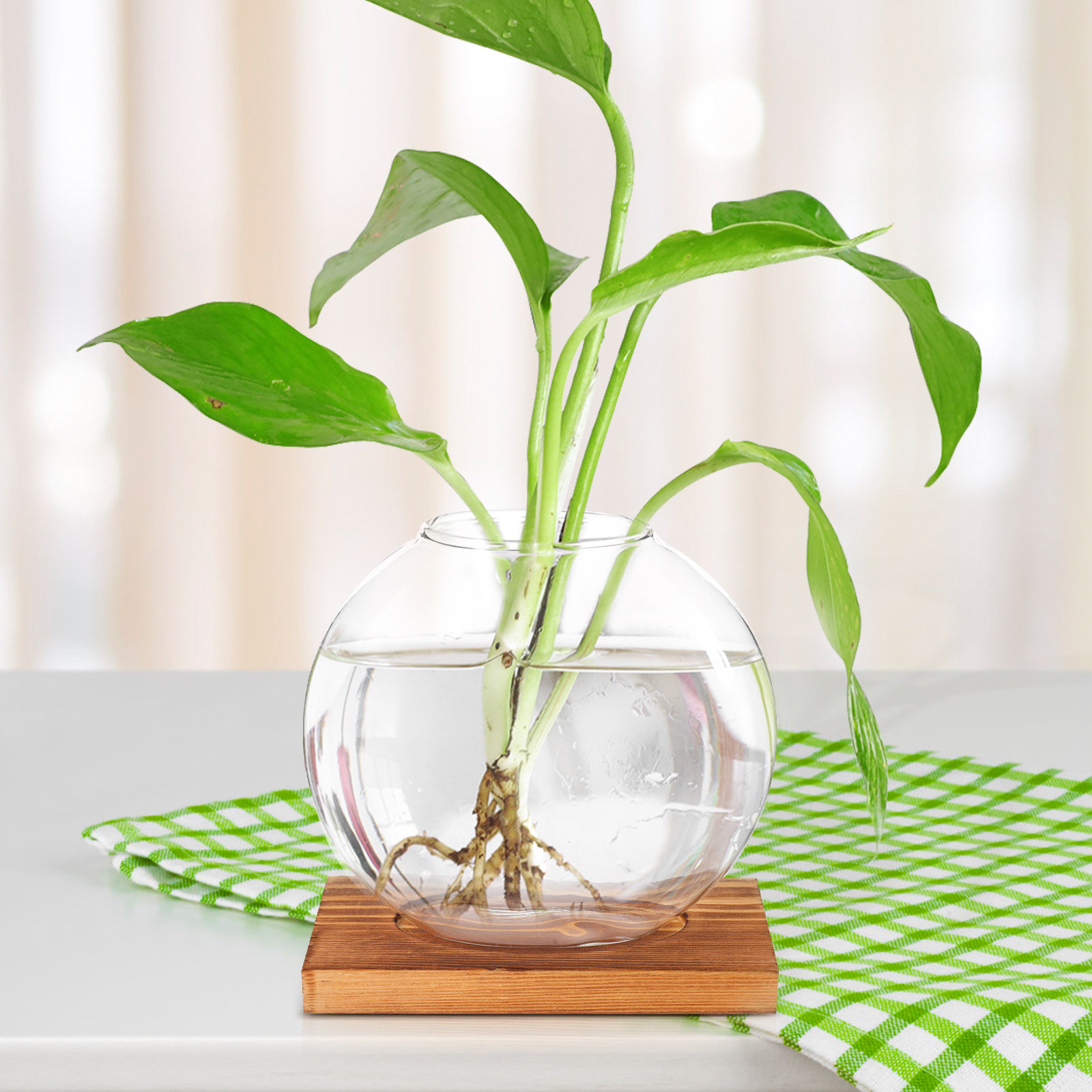 Holzsockel Glas Hydroponische  – Propagation Station Vase Bewertung und Preis