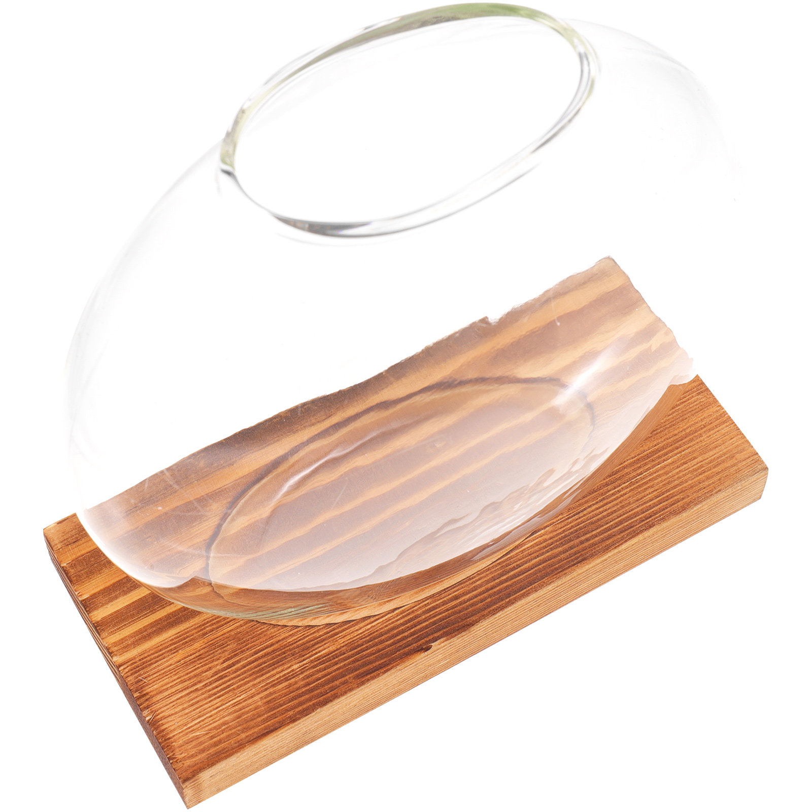 Holzsockel Glas Hydroponische  – Propagation Station Vase Bewertung und Preis