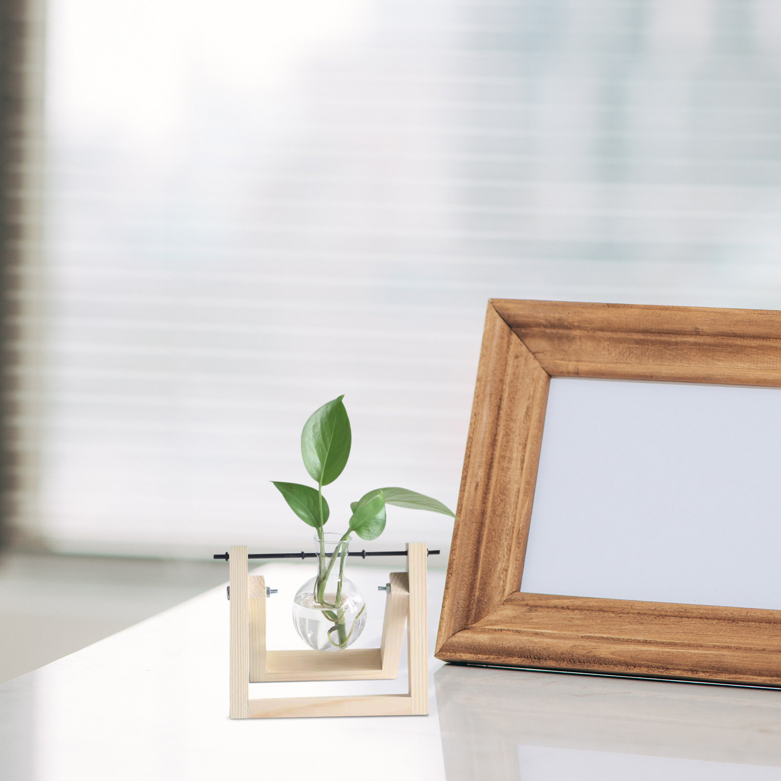 10 Stück Hydrokultur-Pflanzenh – Propagation Station Vase Bewertung und Preis