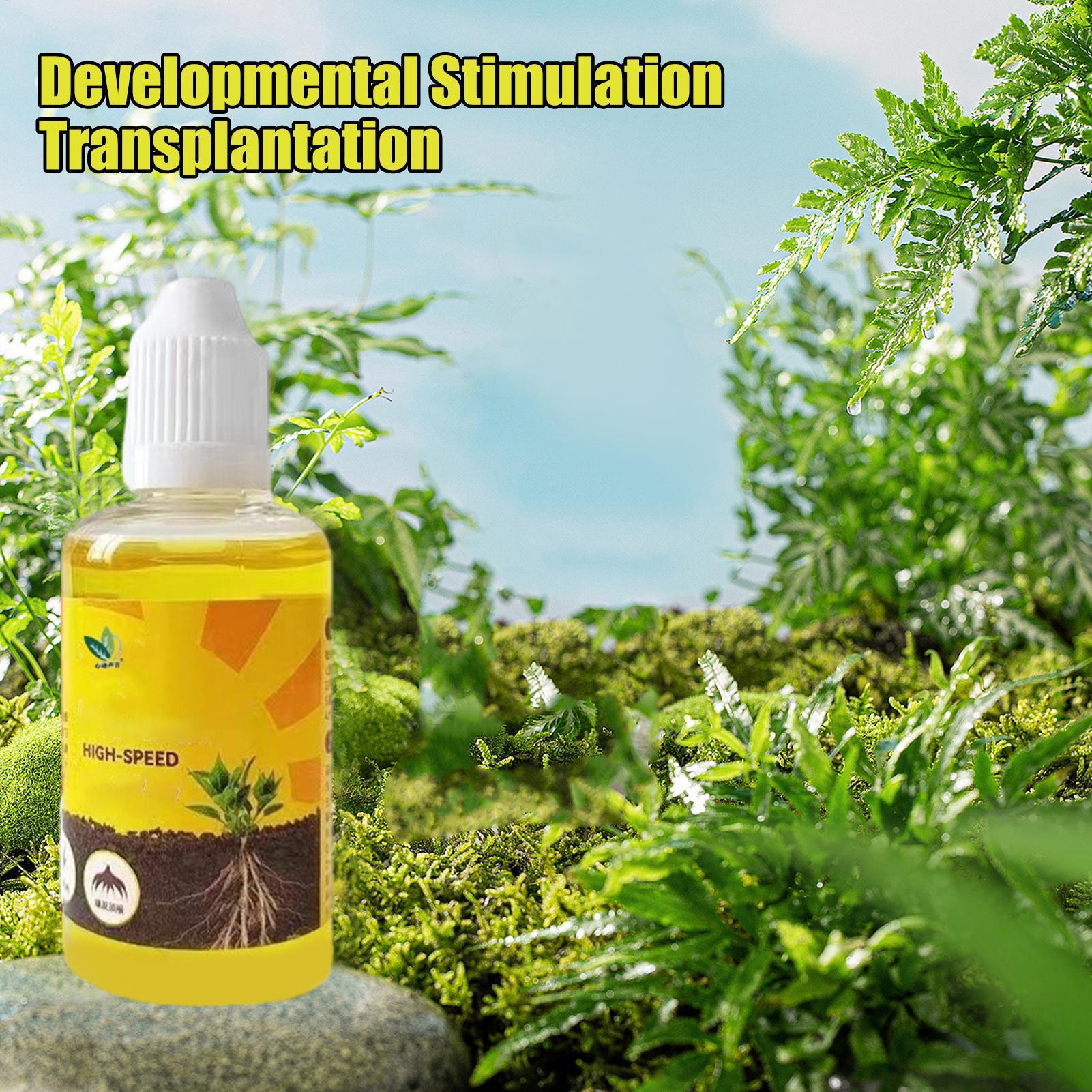 1 Stück Pflanzen-Flüssigdünger – Root Stimulator Liquid Bewertung und Preis