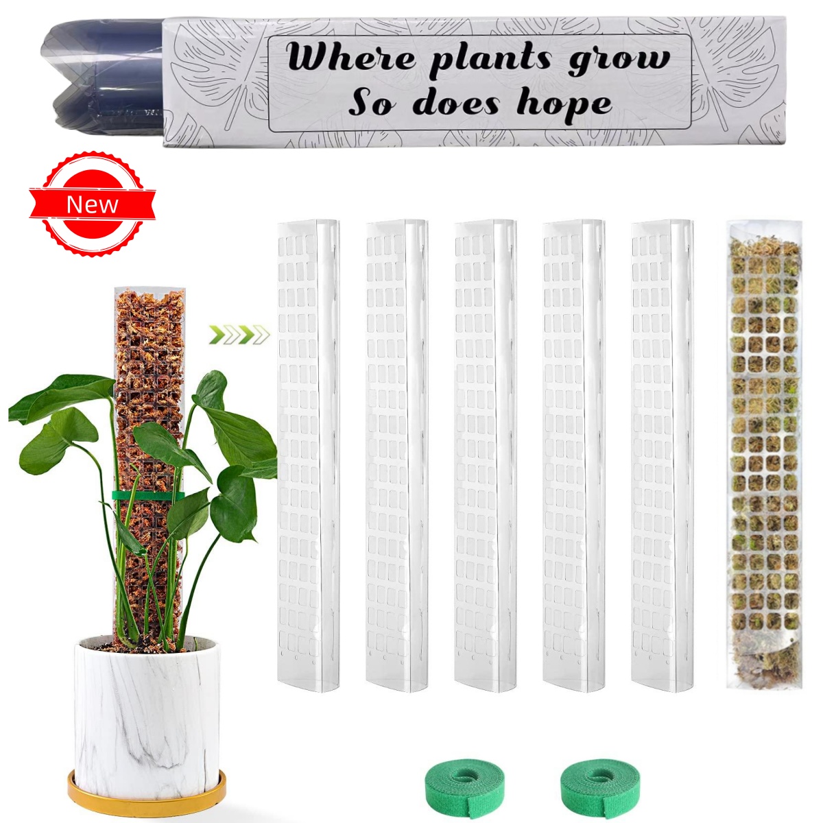 Pflanzen Moos Stange Garten Th – Sphagnum Moss Dry Bewertung und Preis