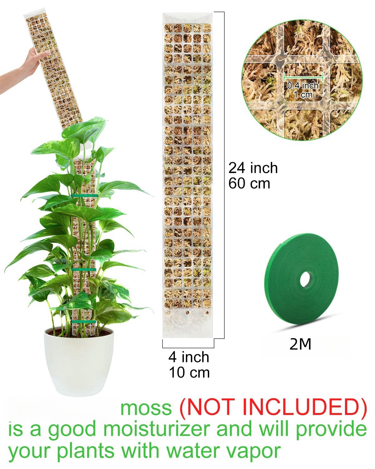 Pflanzen Moos Stange Garten Th – Sphagnum Moss Dry Bewertung und Preis